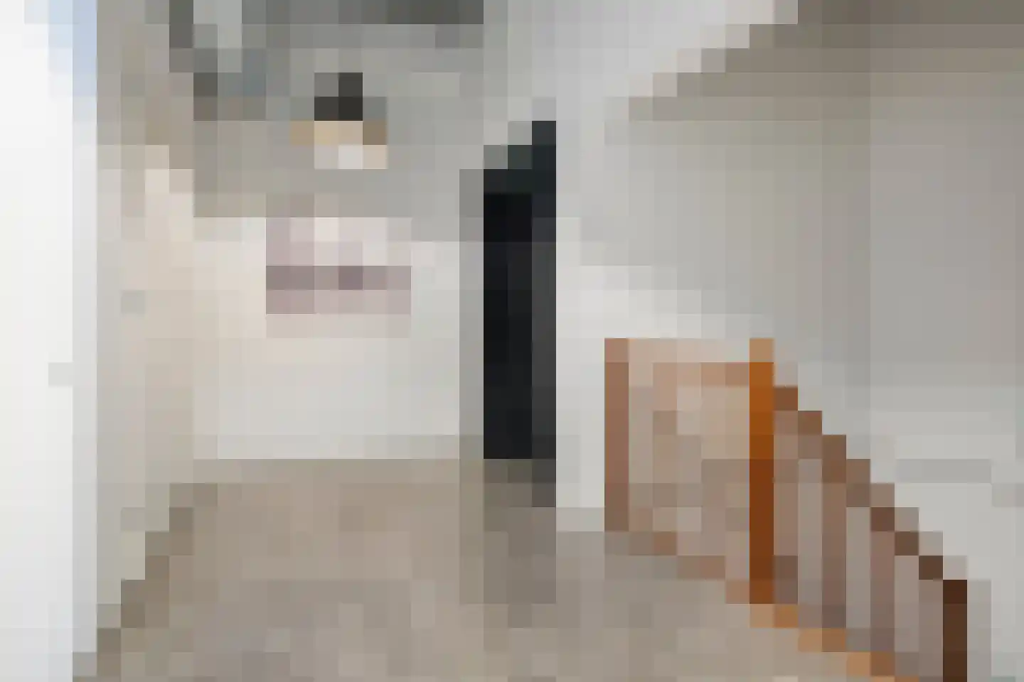 Wijngaardhof 20 Breda thumbnail 44