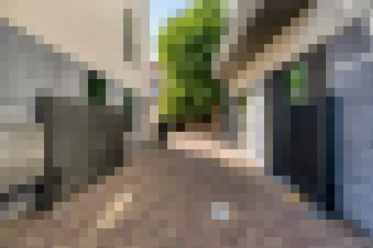 Wijngaardhof 20 Breda thumbnail 48