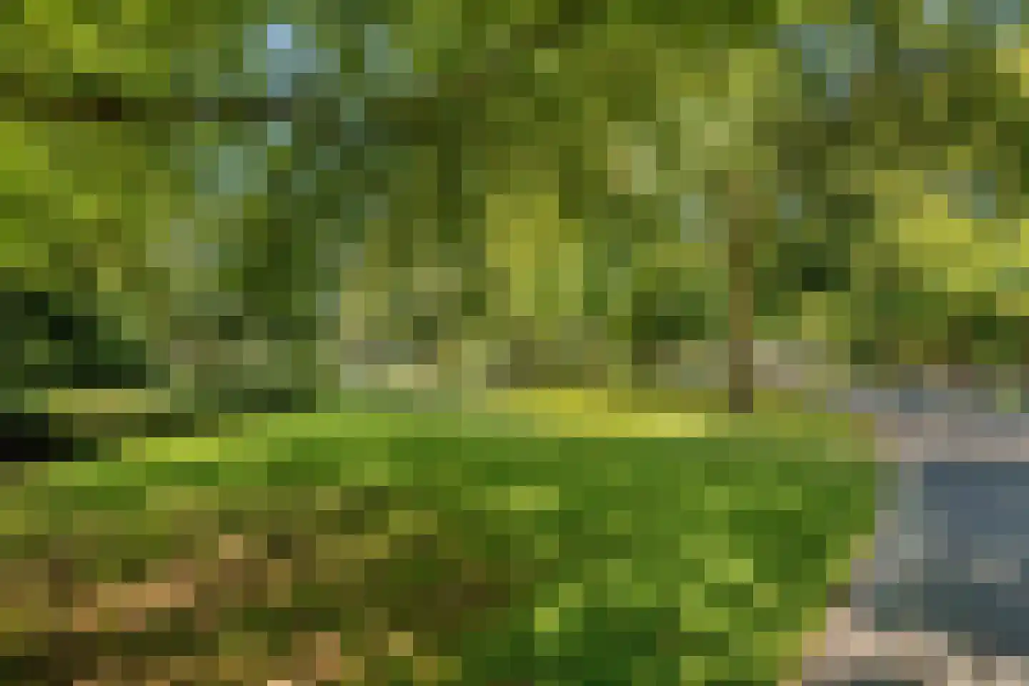 Wijngaardhof 20 Breda thumbnail 61