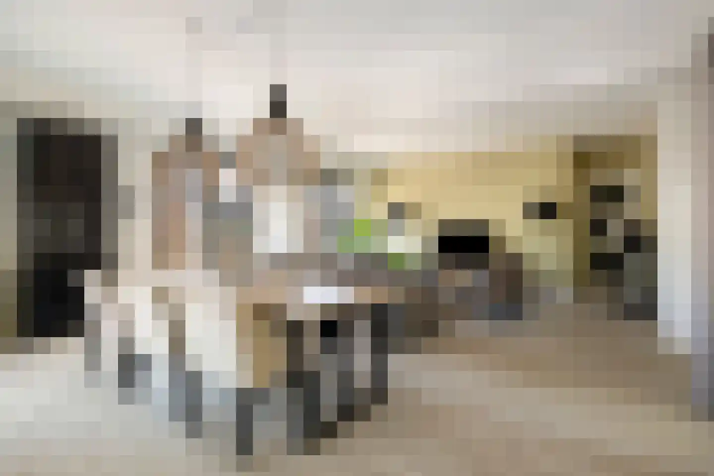 Wijngaardhof 20 Breda thumbnail 8