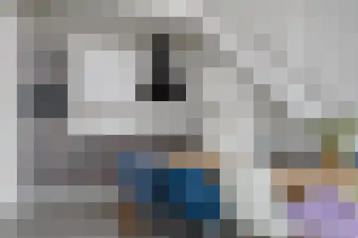 Wijngaardhof 27 Breda thumbnail 16
