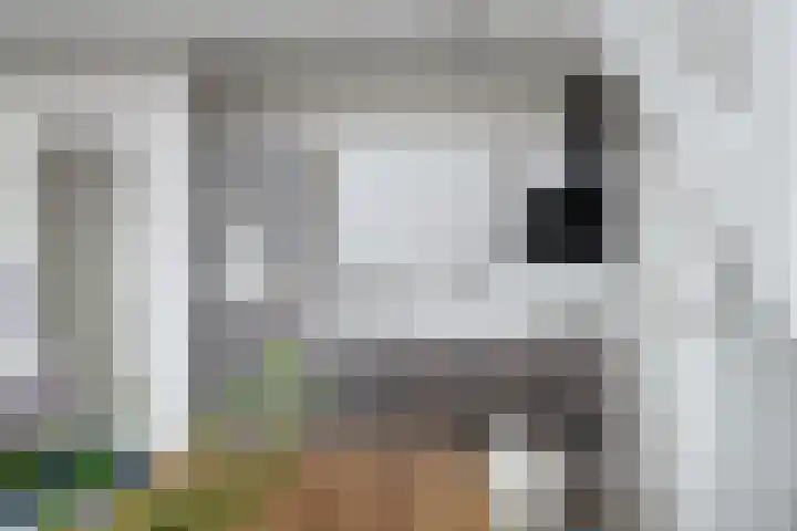 Wijngaardhof 27 Breda thumbnail 17