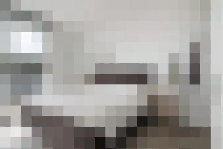 Wijngaardhof 27 Breda thumbnail 20
