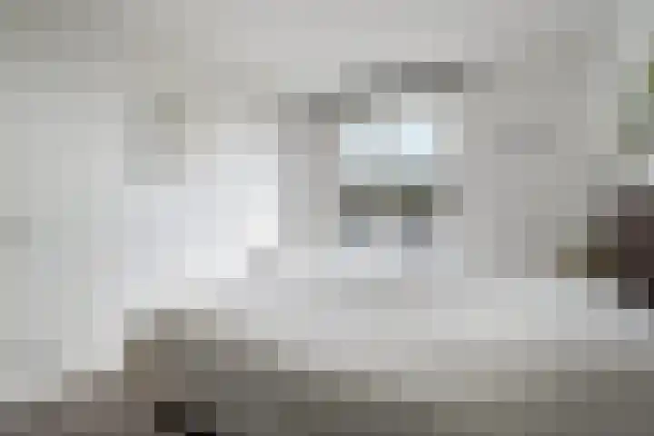 Wijngaardhof 27 Breda thumbnail 21