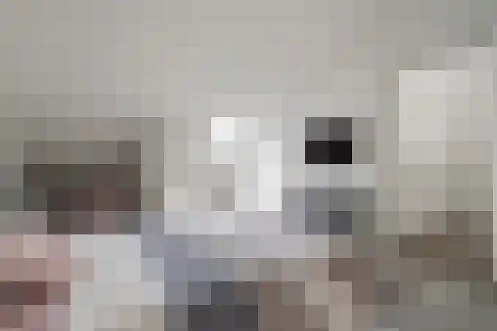 Wijngaardhof 27 Breda thumbnail 32