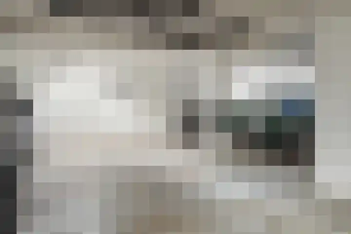 Wijngaardhof 27 Breda thumbnail 36