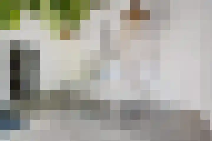 Wijngaardhof 27 Breda thumbnail 38