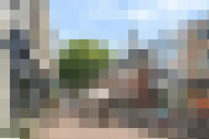 Wijngaardhof 27 Breda thumbnail 42