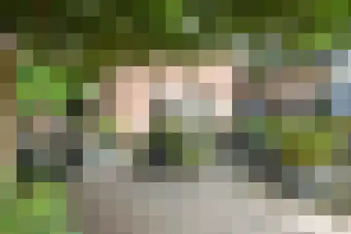 Wijngaardhof 27 Breda thumbnail 48