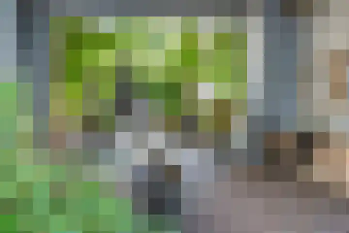 Wijngaardhof 27 Breda thumbnail 51
