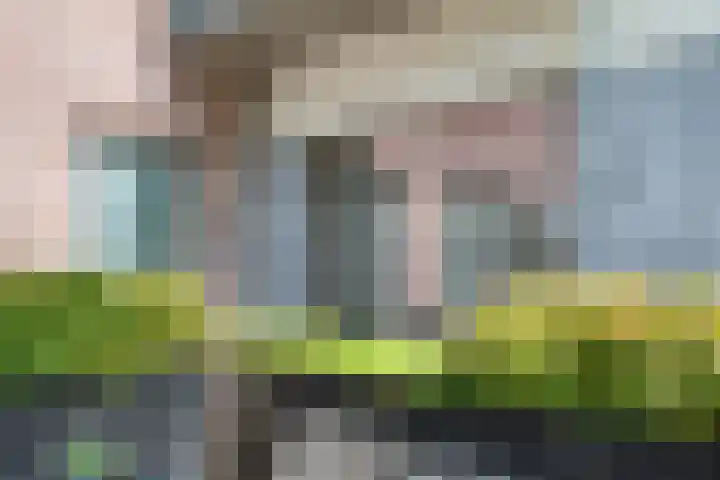 Wijngaardhof 27 Breda thumbnail 52