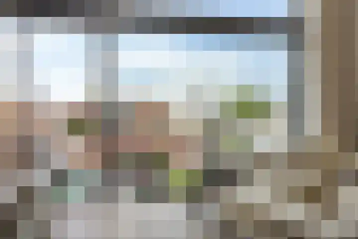 Wijngaardhof 27 Breda thumbnail 6