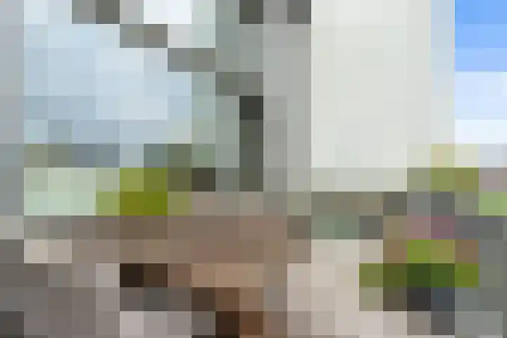 Wijngaardhof 27 Breda thumbnail 9