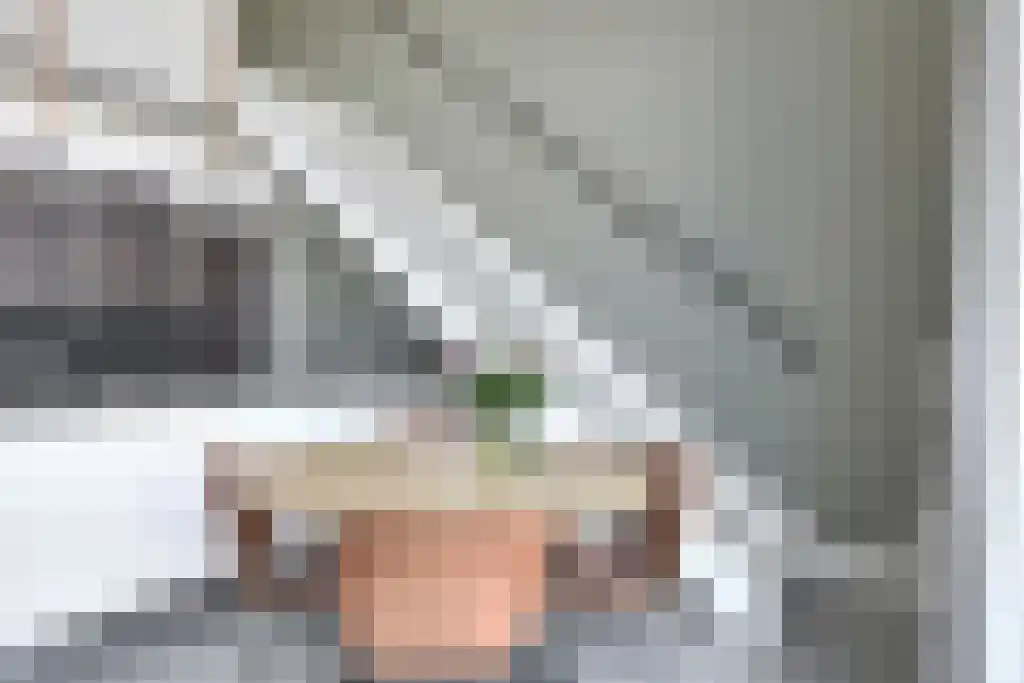 Wijngaardhof 28 Breda thumbnail 22