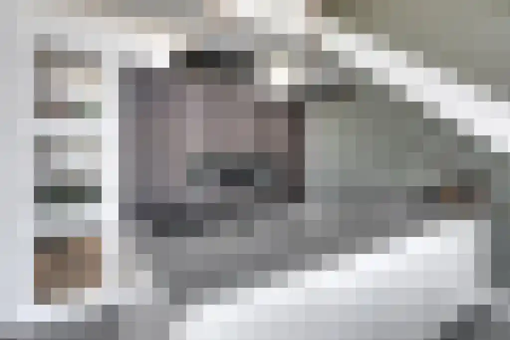 Wijngaardhof 28 Breda thumbnail 23