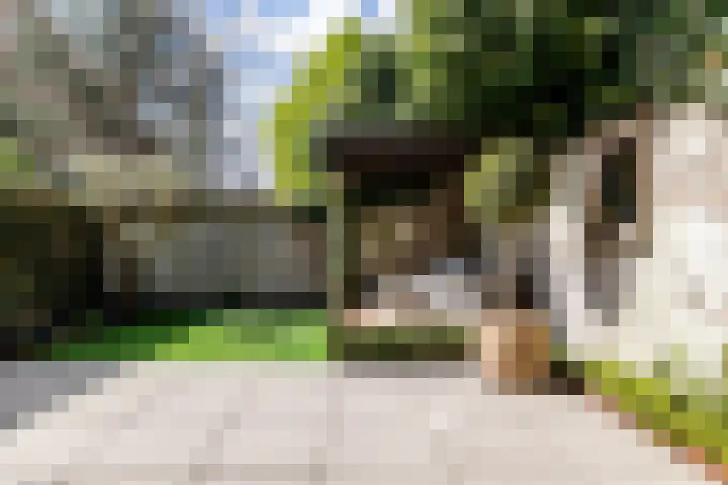 Wijngaardhof 40 Breda thumbnail 23