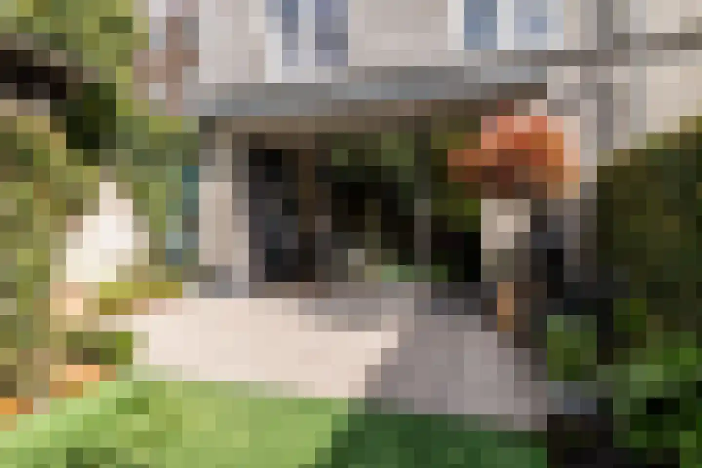 Wijngaardhof 40 Breda thumbnail 25