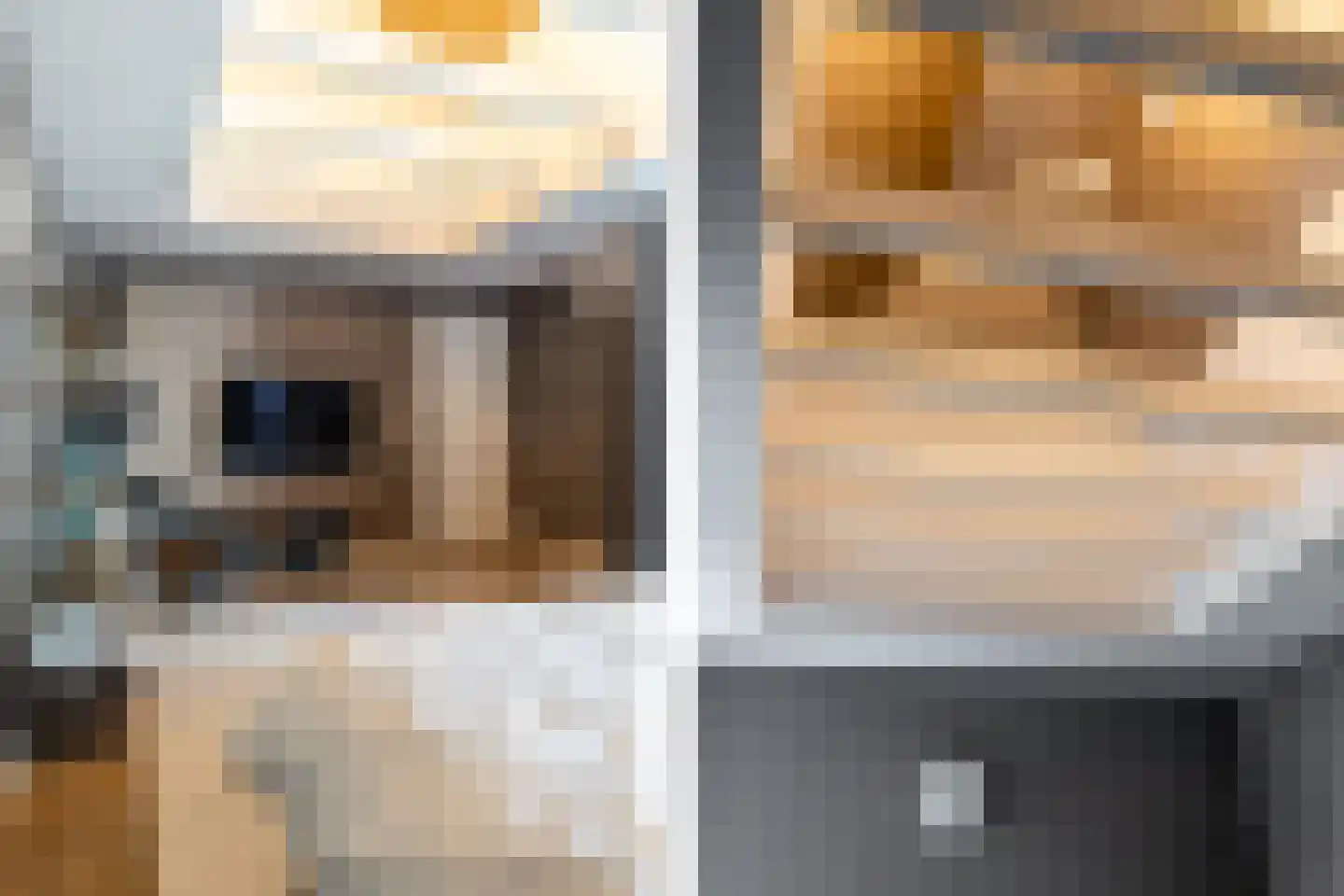 Wijngaardhof 40 Breda thumbnail 31