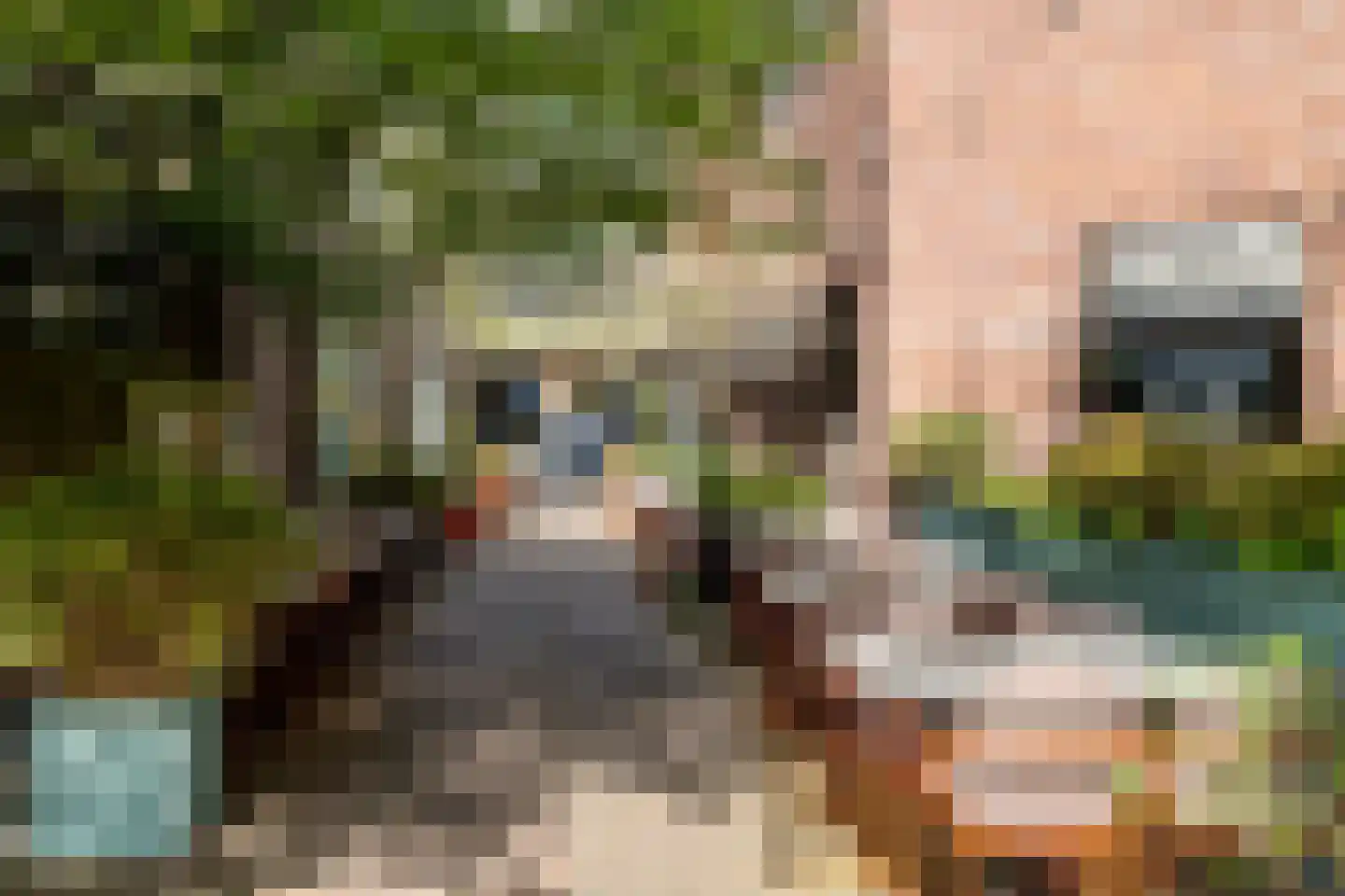 Wijngaardhof 40 Breda thumbnail 40