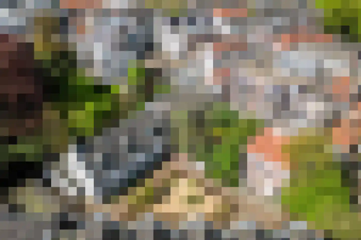 Wijngaardhof 40 Breda thumbnail 7