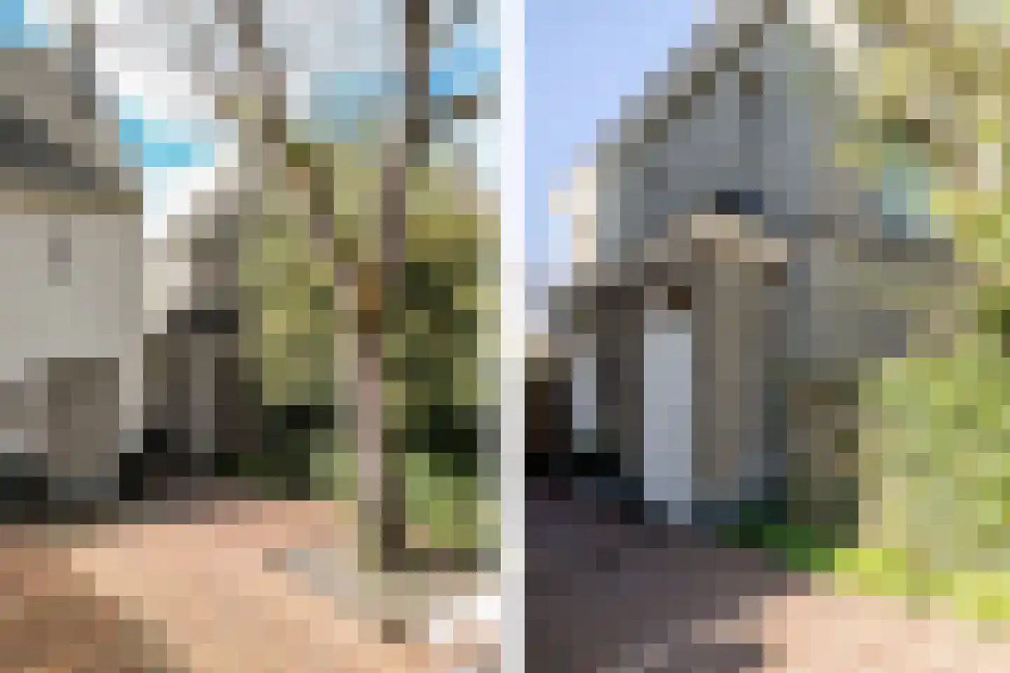 Wijngaardhof 40 Breda thumbnail 9