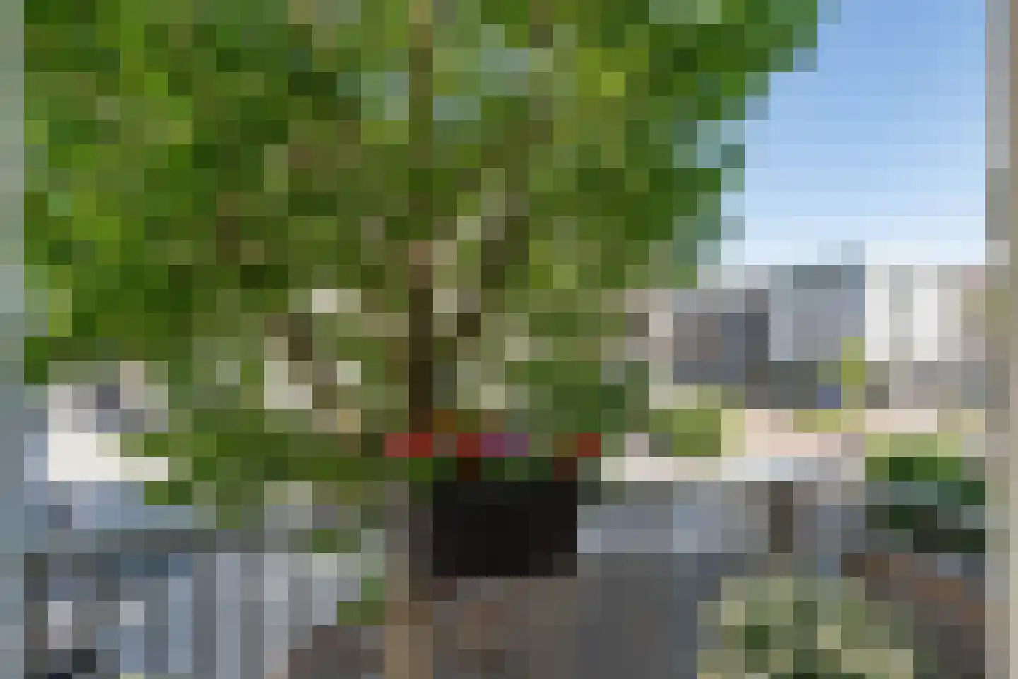 Wijngaardhof 9 Breda thumbnail 11