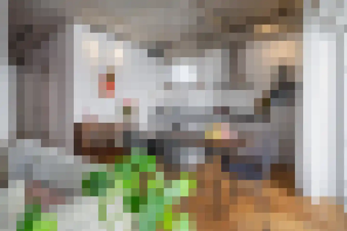 Wijngaardhof 9 Breda thumbnail 18