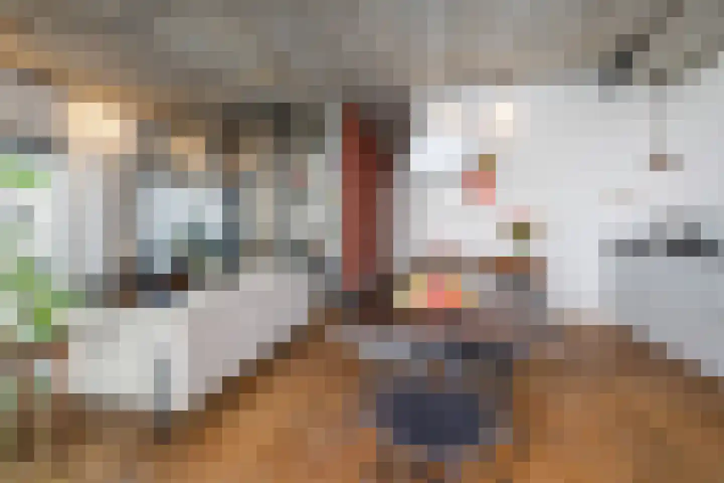 Wijngaardhof 9 Breda thumbnail 22