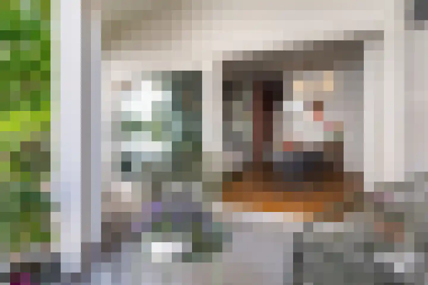 Wijngaardhof 9 Breda thumbnail 23