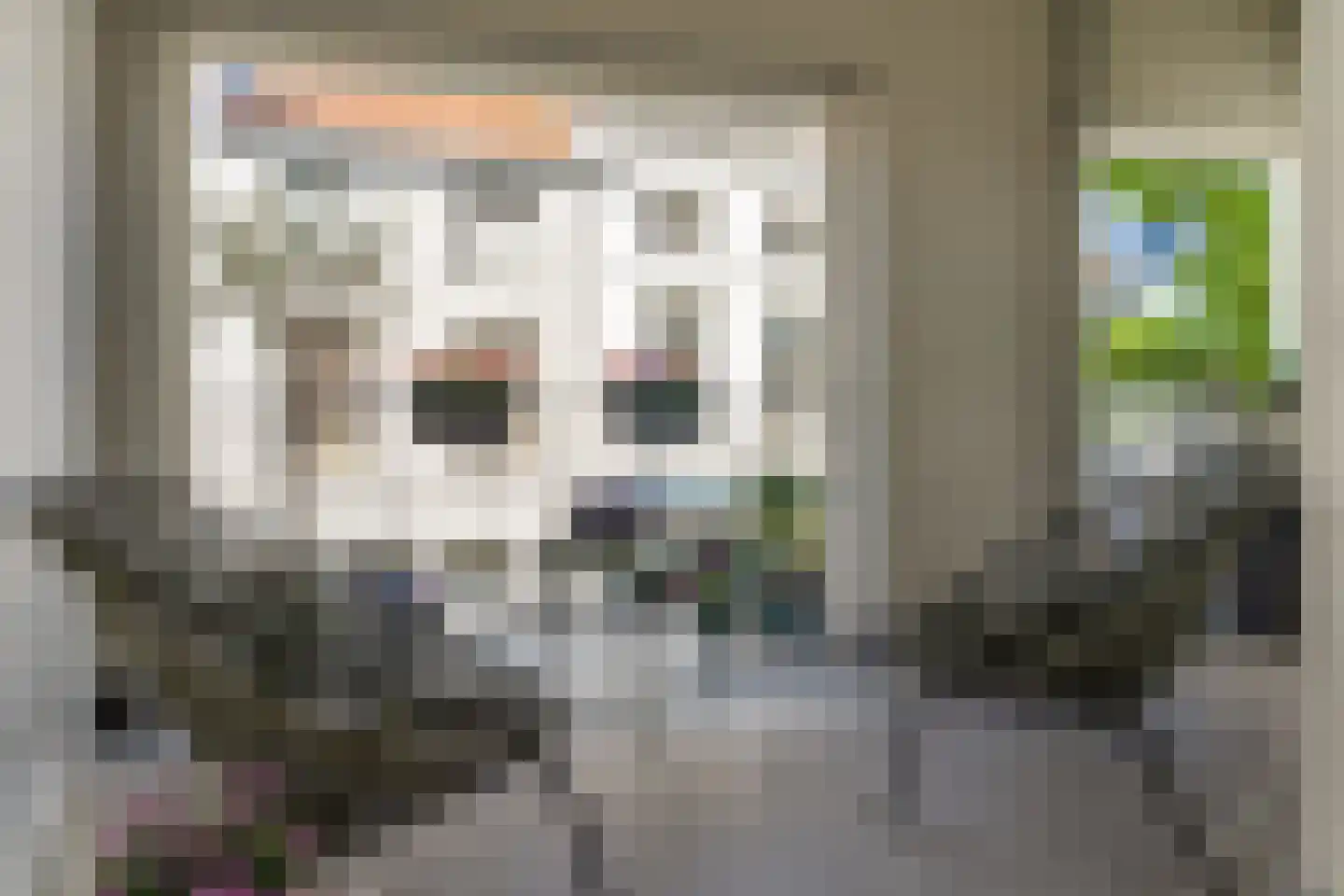 Wijngaardhof 9 Breda thumbnail 24