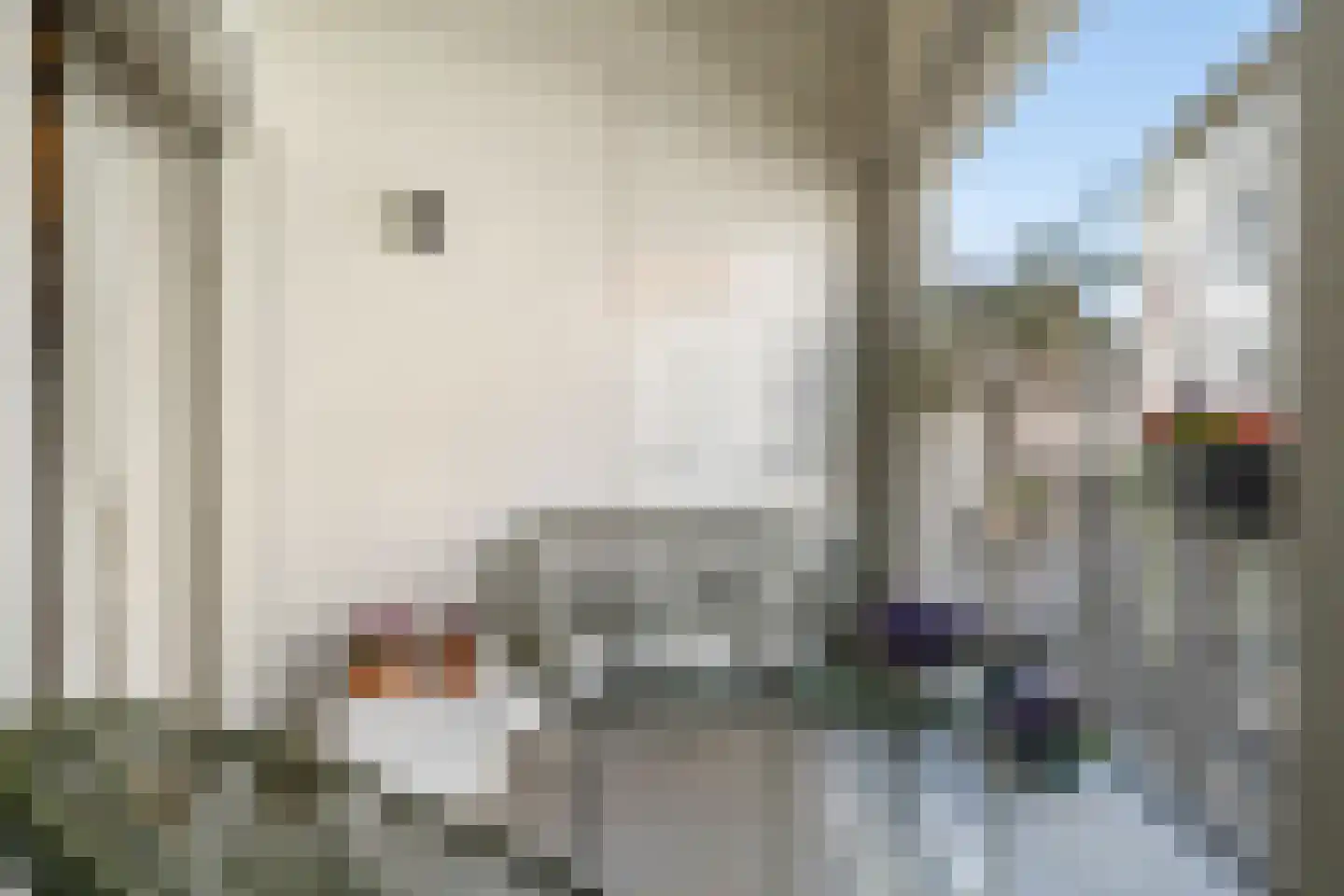 Wijngaardhof 9 Breda thumbnail 25