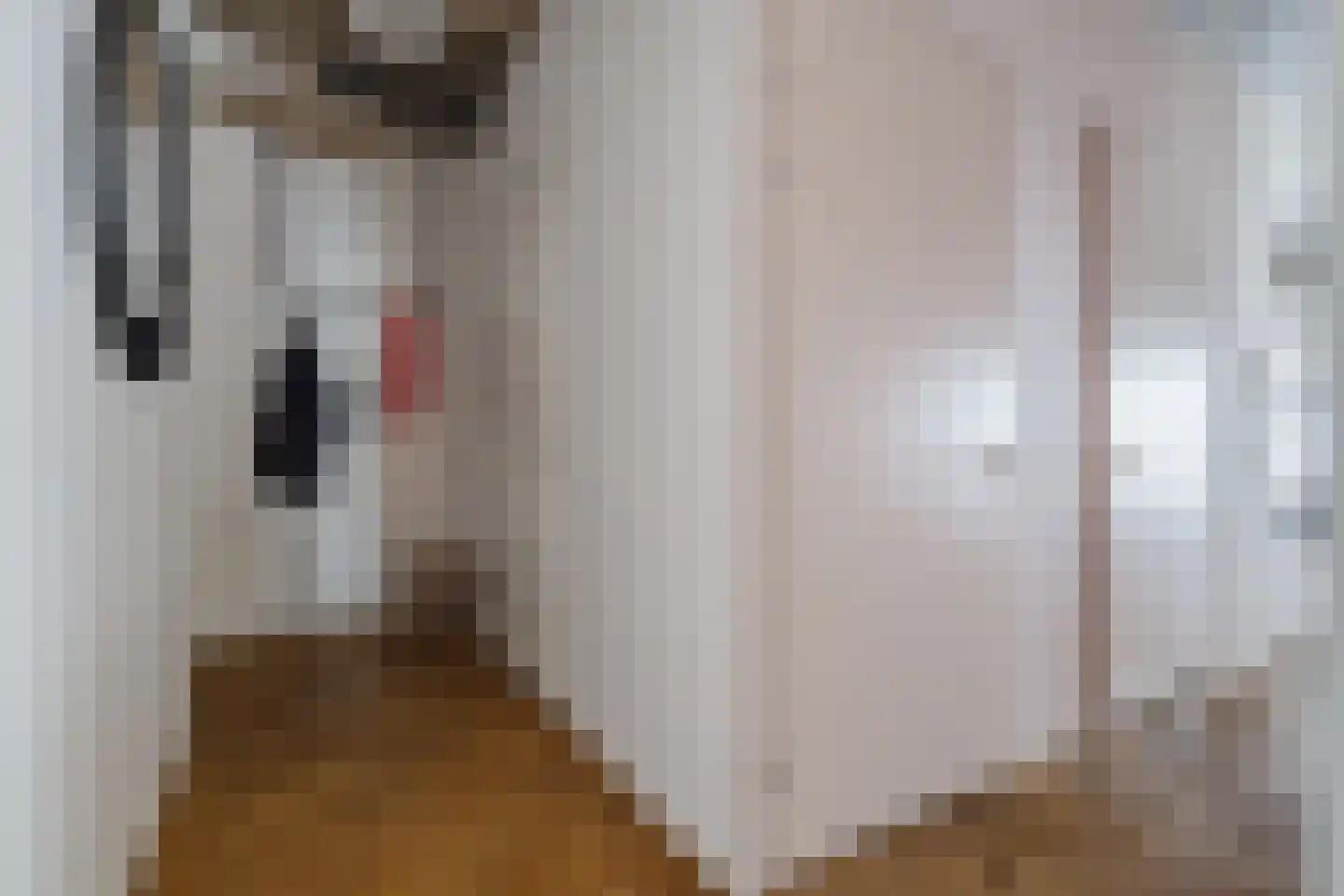 Wijngaardhof 9 Breda thumbnail 27