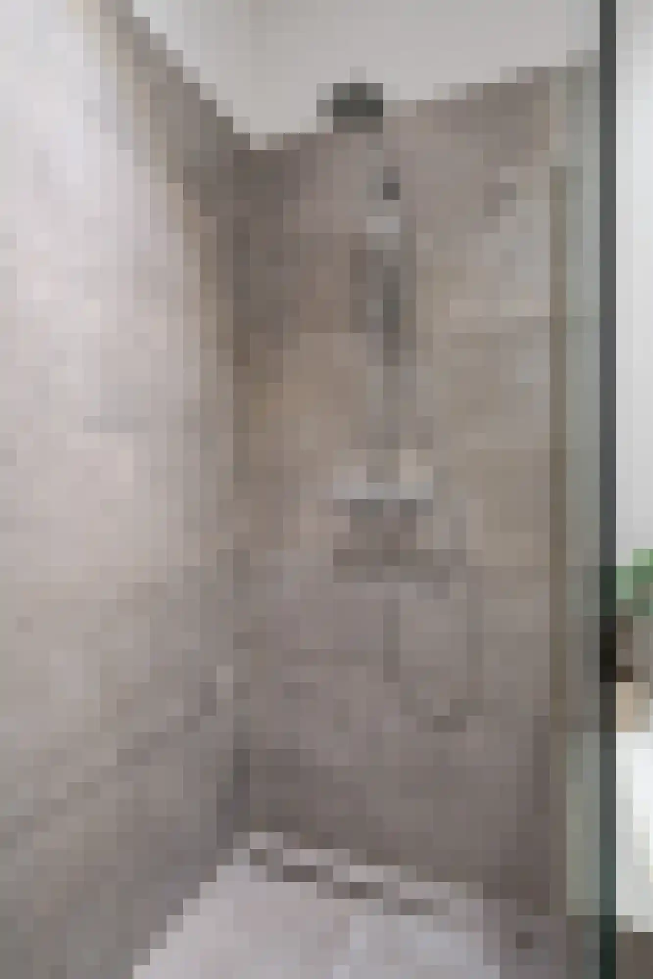 Wijngaardhof 9 Breda thumbnail 29