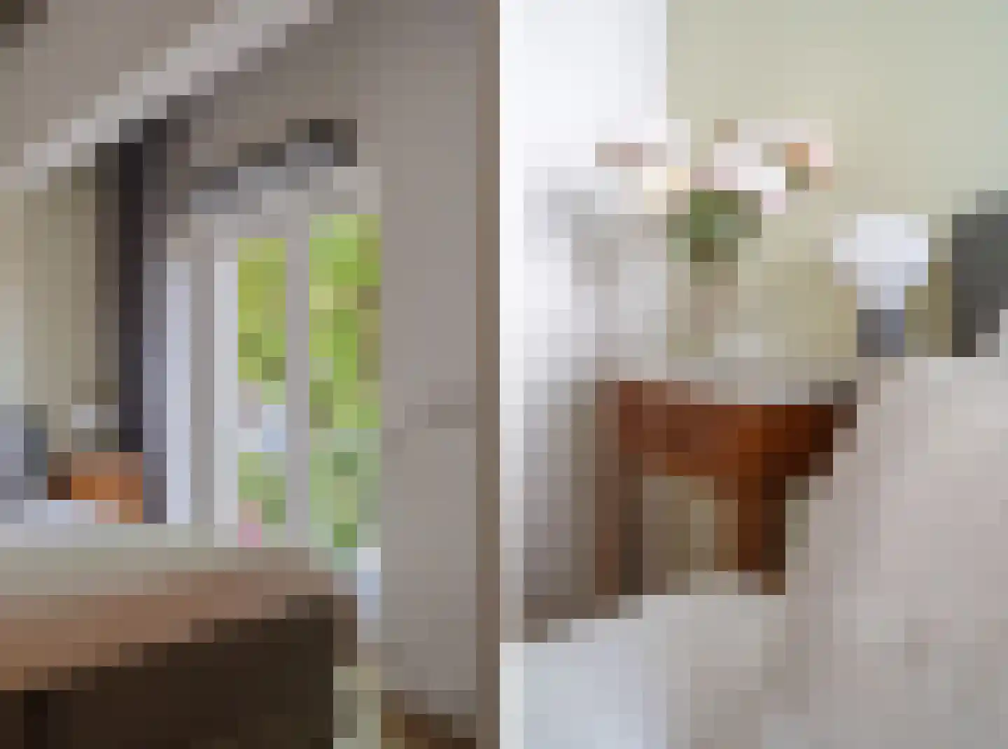 Wijngaardhof 9 Breda thumbnail 33