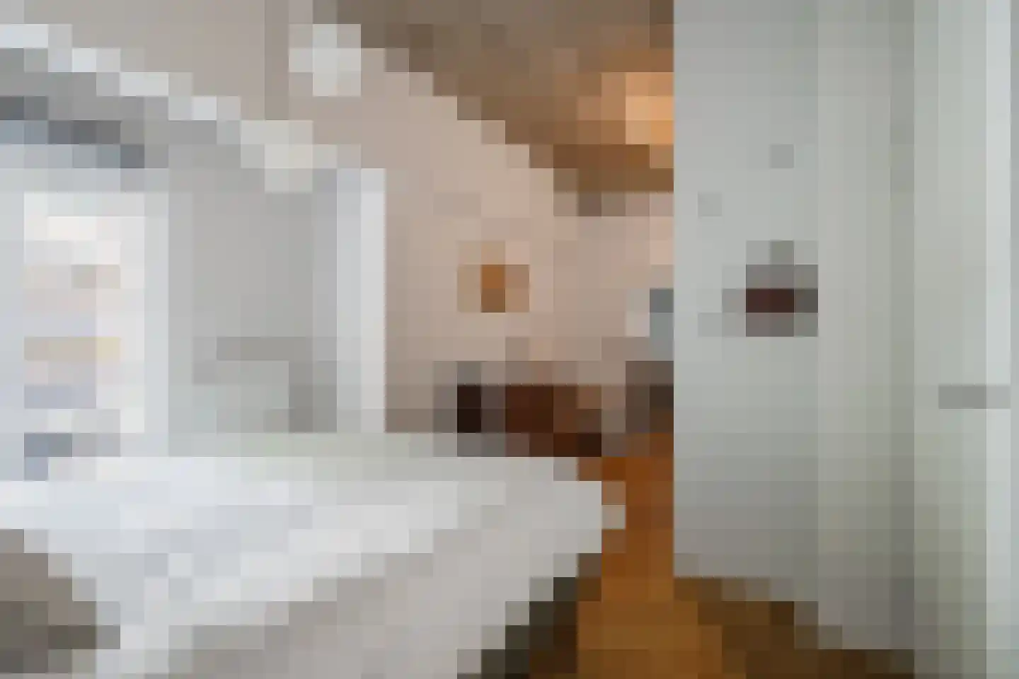 Wijngaardhof 9 Breda thumbnail 34