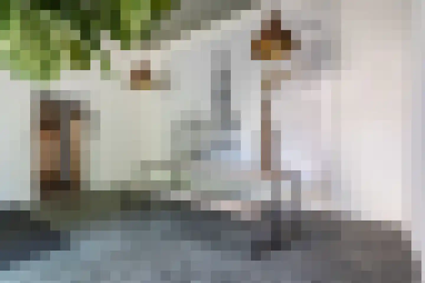 Wijngaardhof 9 Breda thumbnail 37