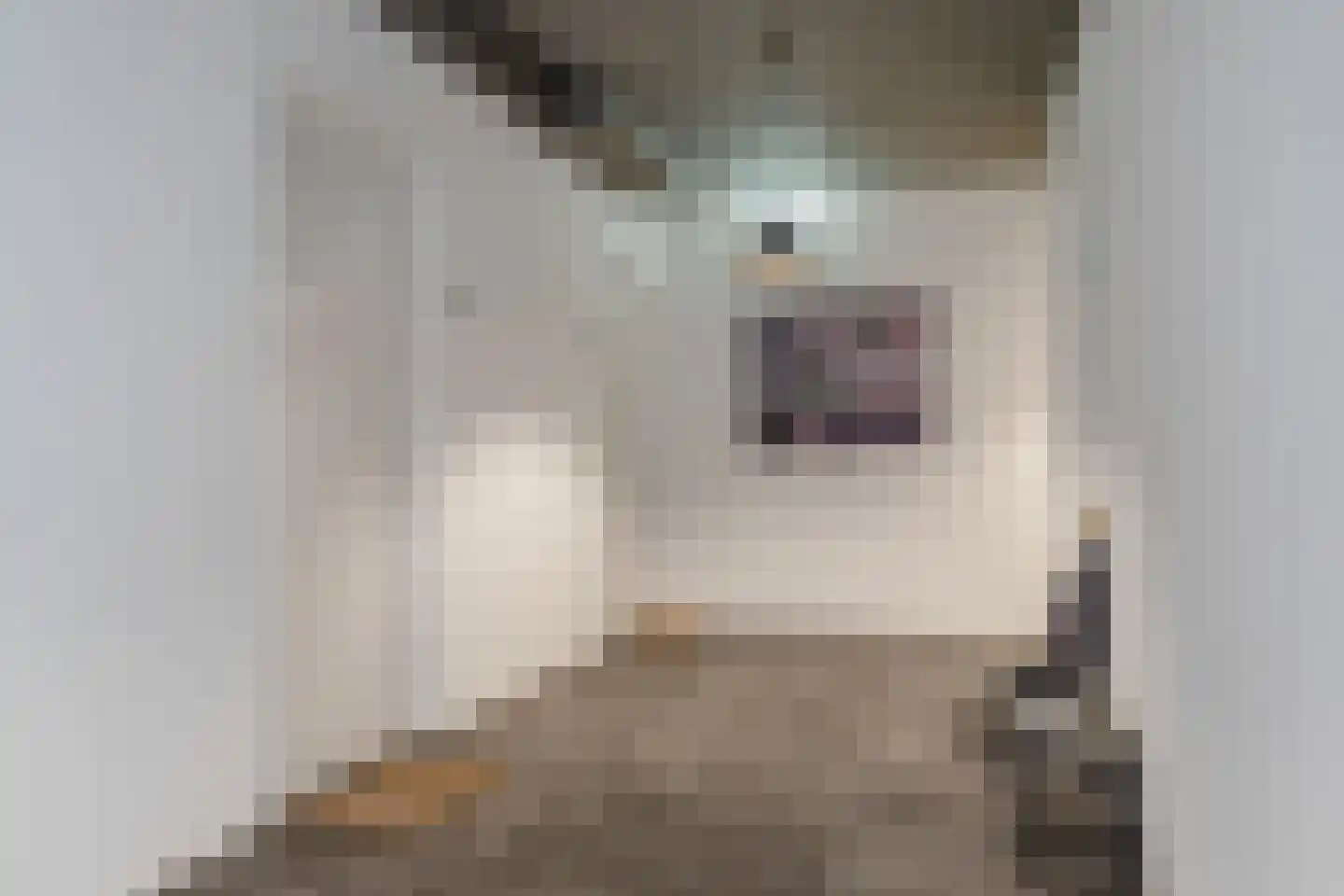 Wijngaardhof 9 Breda thumbnail 38