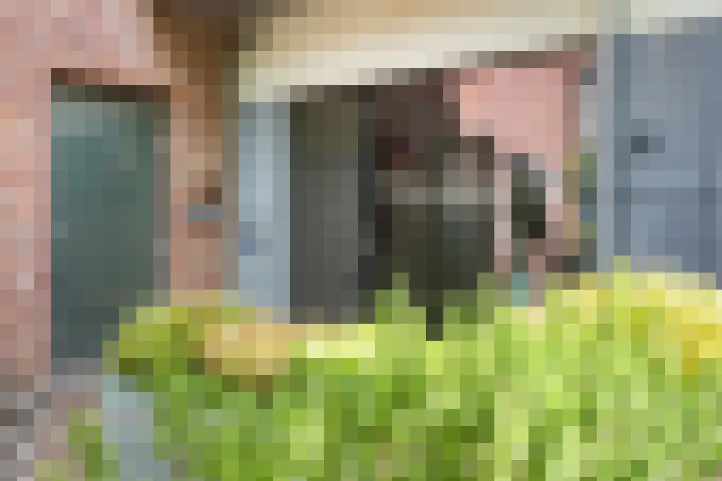 Wijngaardhof 9 Breda thumbnail 40