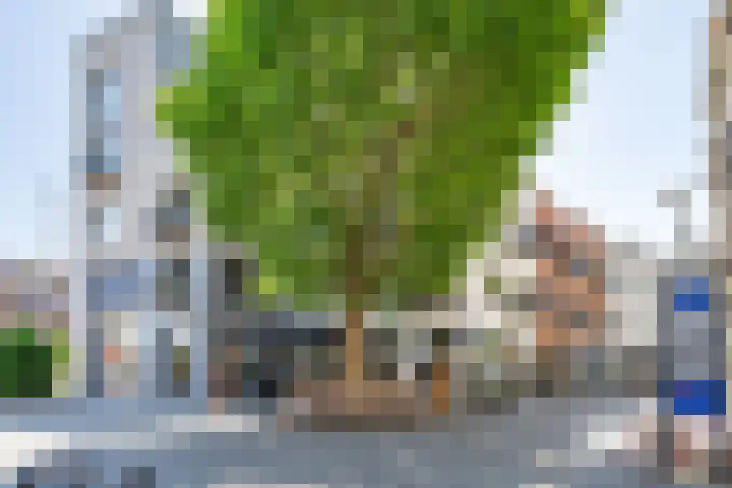 Wijngaardhof 9 Breda thumbnail 46