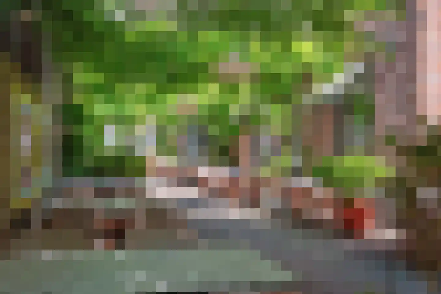 Wijngaardhof 9 Breda thumbnail 50