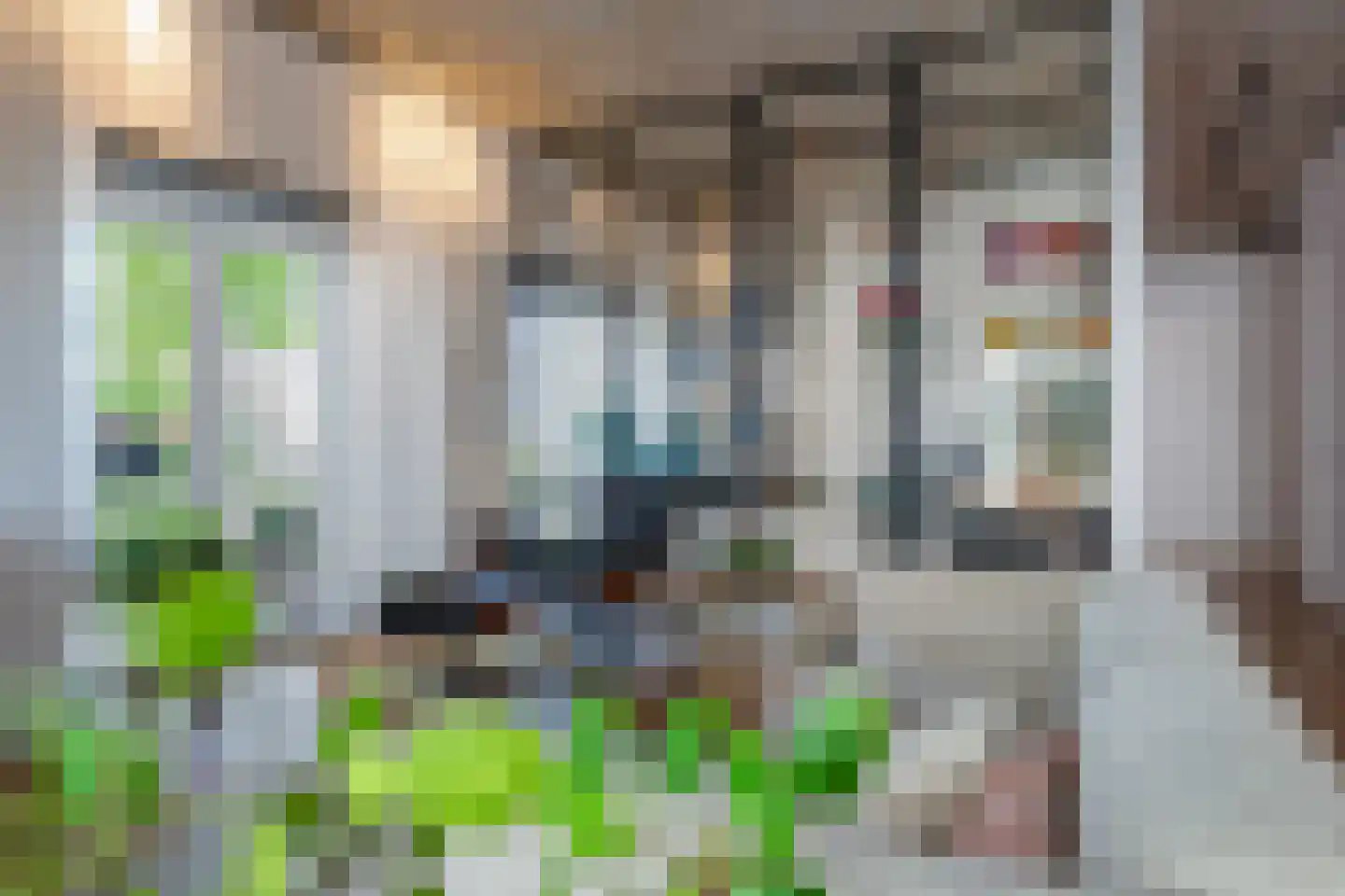 Wijngaardhof 9 Breda thumbnail 9