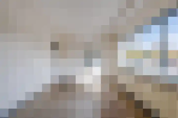 Wijngaardplein 15 Eindhoven thumbnail 13
