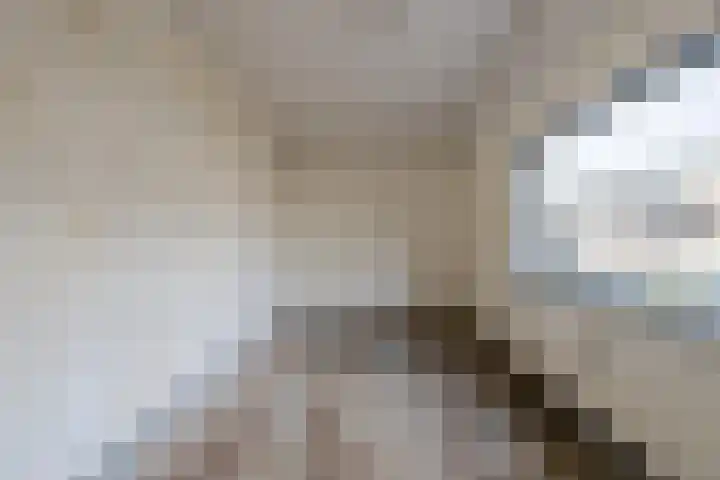 Wijngaardplein 15 Eindhoven thumbnail 14