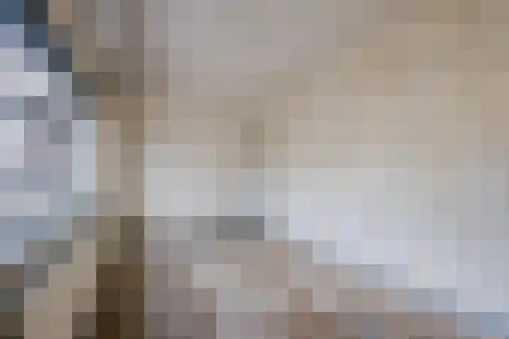 Wijngaardplein 15 Eindhoven thumbnail 15