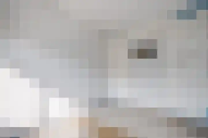 Wijngaardplein 15 Eindhoven thumbnail 19