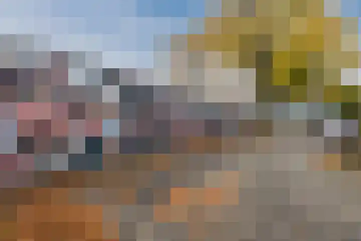 Wijngaardplein 15 Eindhoven thumbnail 26