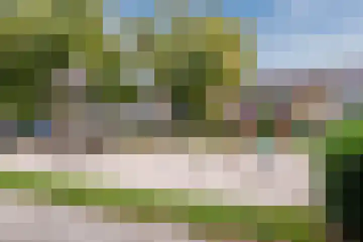Wijngaardplein 15 Eindhoven thumbnail 31