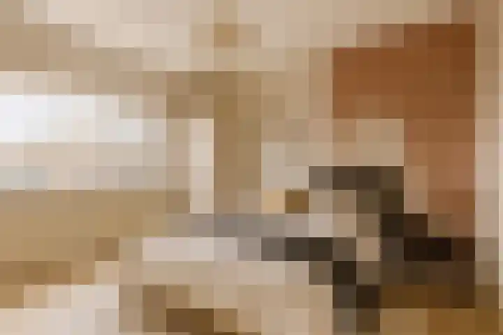 Wijngaardplein 15 Eindhoven thumbnail 5