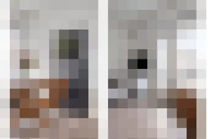 Wijngaardplein 16 Eindhoven thumbnail 13