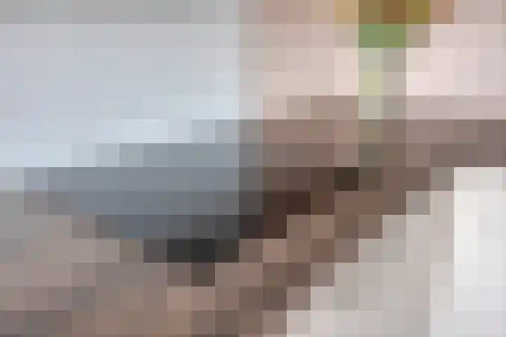 Wijngaardplein 16 Eindhoven thumbnail 16